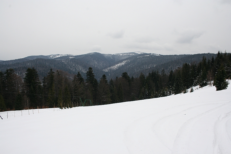 Turbacz 22.03.08 021